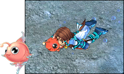 ※クリックで拡大