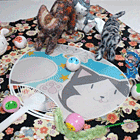 ※クリックで拡大