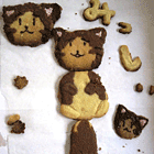 ※クリックで拡大