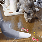 ※クリックで拡大