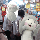 ※クリックで拡大