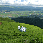 ※クリックで拡大