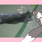 ※クリックで拡大