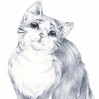 ※クリックで拡大