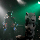 ※クリックで拡大