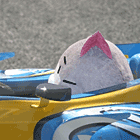 ※クリックで拡大