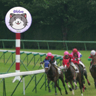 ※クリックで拡大