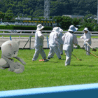 ※クリックで拡大