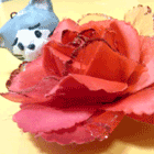 ※クリックで拡大