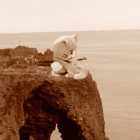 ※クリックで拡大