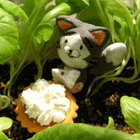 ※クリックで拡大