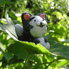 ※クリックで拡大