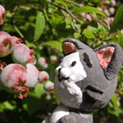 ※クリックで拡大