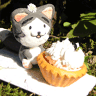 ※クリックで拡大