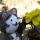 ※クリックで拡大