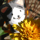 ※クリックで拡大