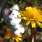 ※クリックで拡大