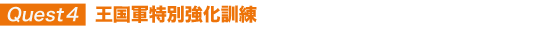 王国軍特別強化訓練