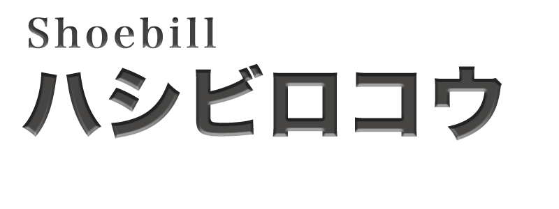 ハシビロコウ