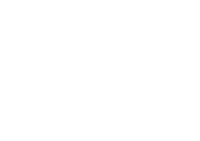 WHITE CAT