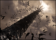 ※クリックで拡大